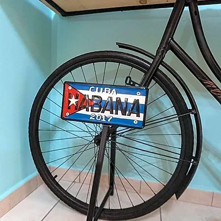 B&B Biu 4*